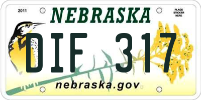 NE license plate DIF317