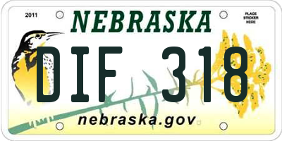 NE license plate DIF318