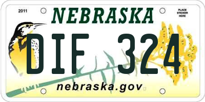 NE license plate DIF324