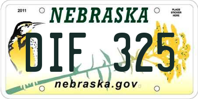 NE license plate DIF325