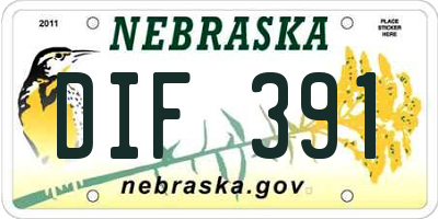 NE license plate DIF391