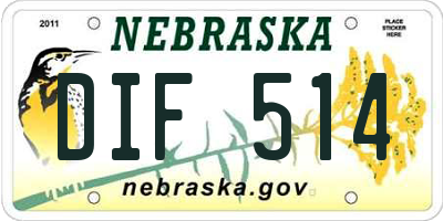 NE license plate DIF514