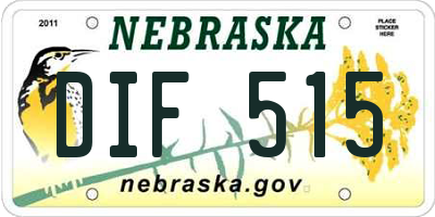 NE license plate DIF515