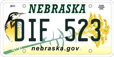 NE license plate DIF523