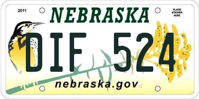 NE license plate DIF524