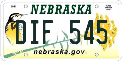 NE license plate DIF545