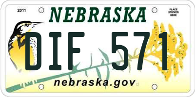 NE license plate DIF571