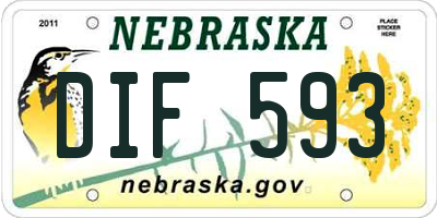 NE license plate DIF593