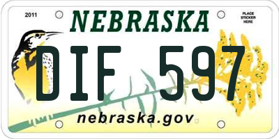 NE license plate DIF597