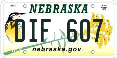 NE license plate DIF607