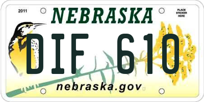 NE license plate DIF610