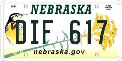 NE license plate DIF617