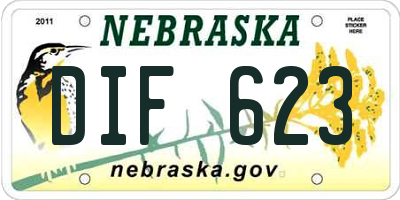 NE license plate DIF623
