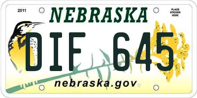 NE license plate DIF645