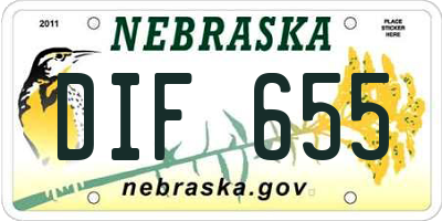 NE license plate DIF655