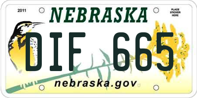 NE license plate DIF665
