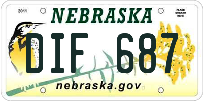 NE license plate DIF687