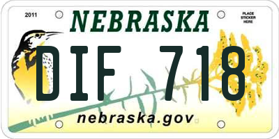 NE license plate DIF718