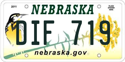 NE license plate DIF719