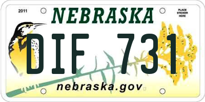 NE license plate DIF731