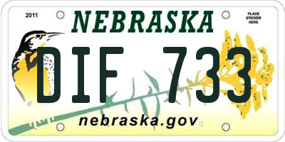 NE license plate DIF733