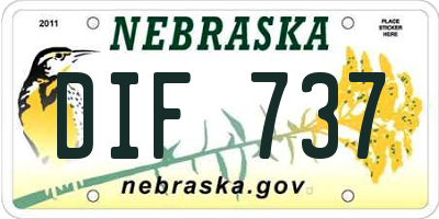 NE license plate DIF737