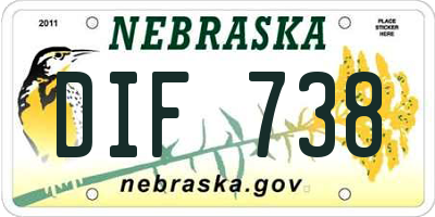 NE license plate DIF738