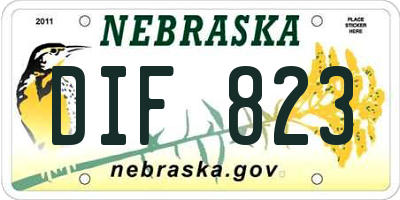 NE license plate DIF823
