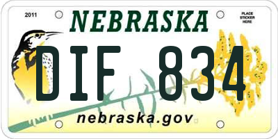 NE license plate DIF834