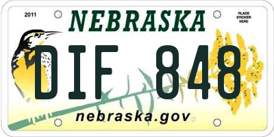 NE license plate DIF848