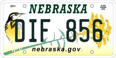 NE license plate DIF856