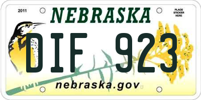 NE license plate DIF923