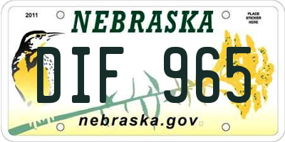 NE license plate DIF965