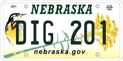 NE license plate DIG201