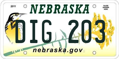 NE license plate DIG203