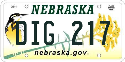 NE license plate DIG217