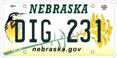 NE license plate DIG231