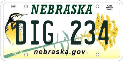 NE license plate DIG234