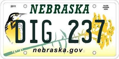 NE license plate DIG237