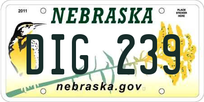 NE license plate DIG239