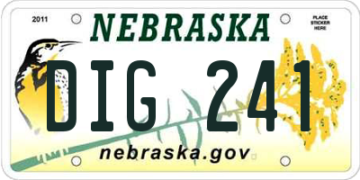 NE license plate DIG241