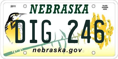 NE license plate DIG246