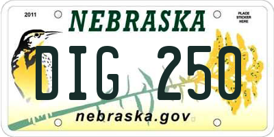 NE license plate DIG250