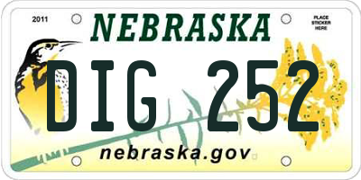 NE license plate DIG252