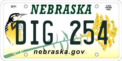 NE license plate DIG254