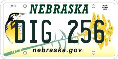 NE license plate DIG256