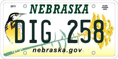 NE license plate DIG258
