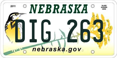 NE license plate DIG263