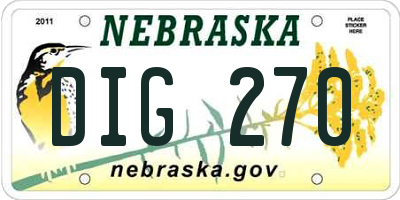NE license plate DIG270