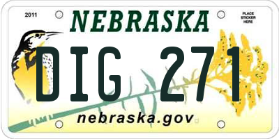 NE license plate DIG271